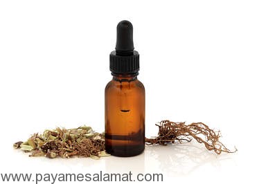 ۱۰ نمونه از مهمترین گیاهان آرام کننده عضلات