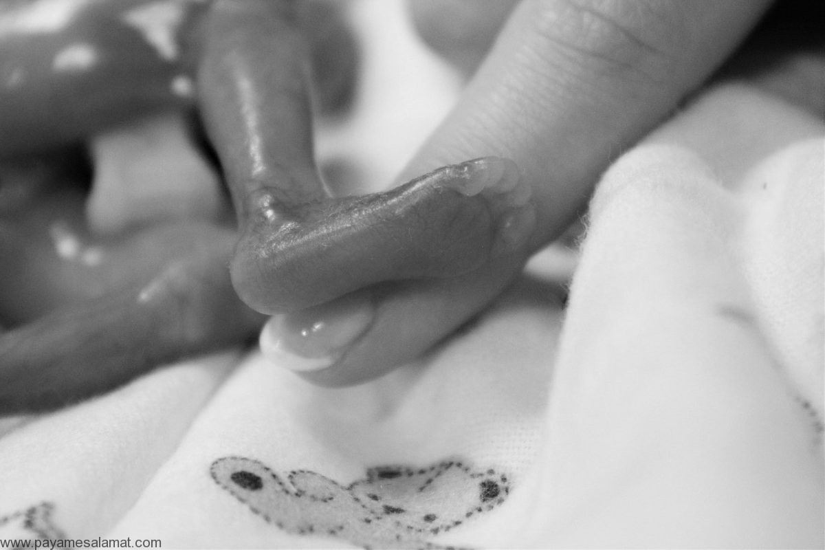 Unborn-Baby.jpg