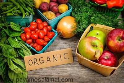 مزایای باغبانی برای بدن