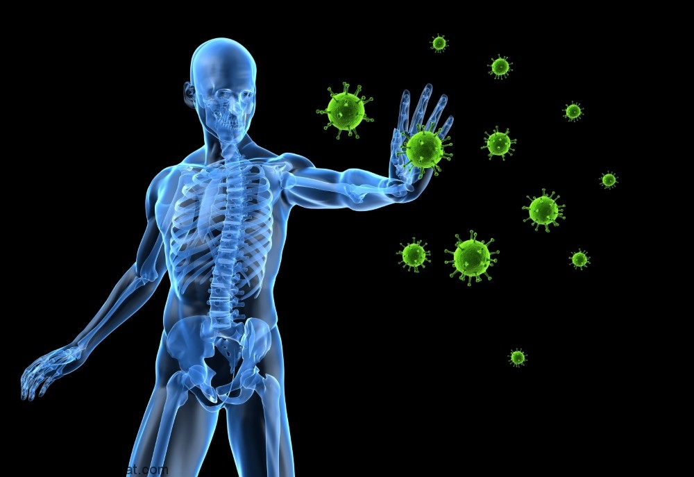 مکانیسم های دفاعی بدن برای مبارزه با بیماری ها و جلوگیری از حمله پاتوژن ها