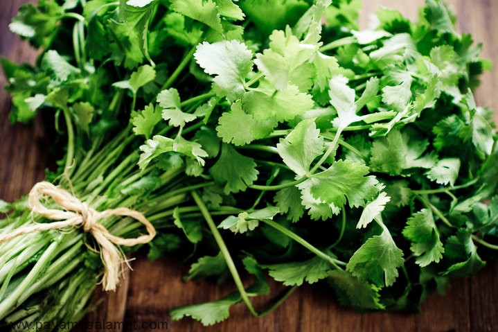 خواص گشنیز برای کنترل قند خون، کنترل کلسترول و فشار خون