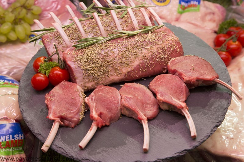 نیاز بدن به گوشت برای تغذیه روزانه