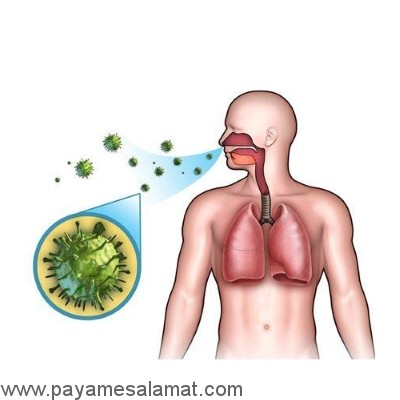 خواص آب علف گندم برای بدن