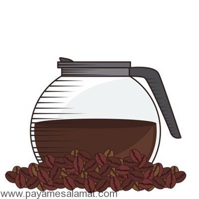 مواد غذایی مضر برای کلیه ها