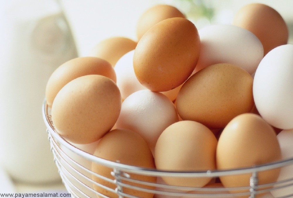 مقدار ویتامین ها و پروتئین سفیده تخم مرغ چقدر است؟