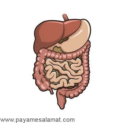 خواص مریم گلی (ساج) برای بدن