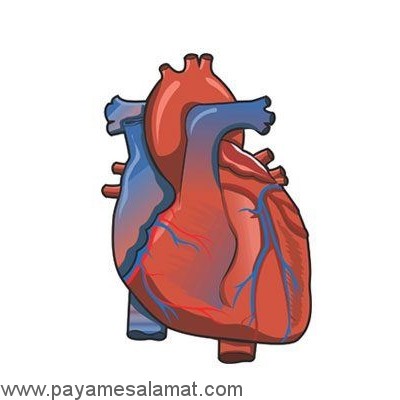 خواص آب علف گندم برای بدن