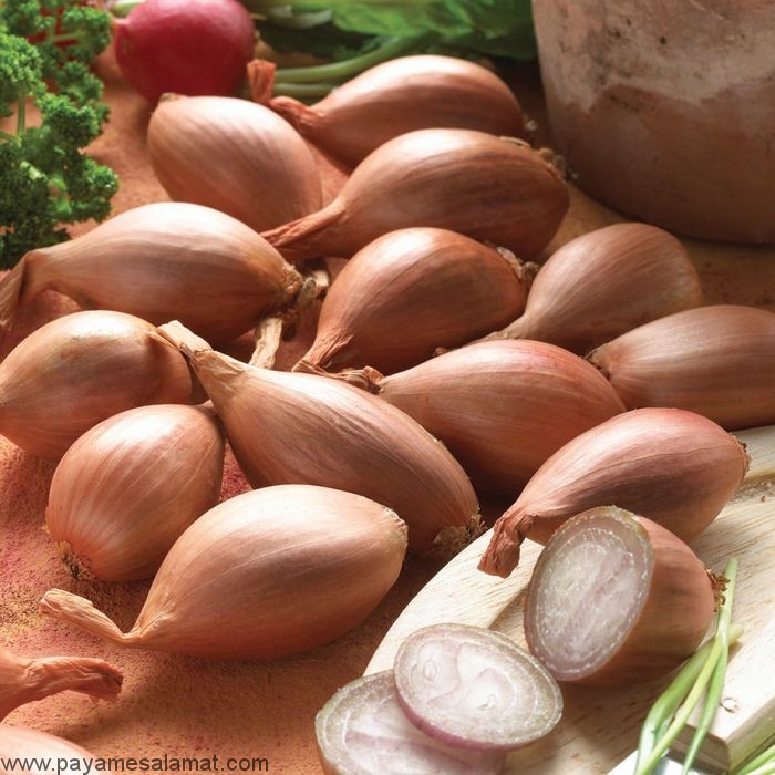 خواص موسیر برای مبارزه با چاقی و سرطان و بهبود سلامت قلب و عروق