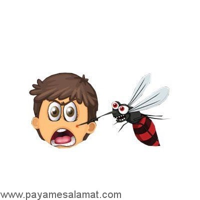 کاربردهای پوست موز