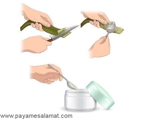 خواص آلوئه ورا برای بهبود پوست، یبوست و تقویت سیستم ایمنی