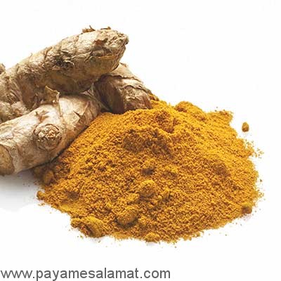 مواد غذایی مفید برای تقویت سیستم ایمنی بدن