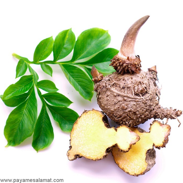 گلوکومانان (فیبر کنجاک) و فواید آن برای بدن