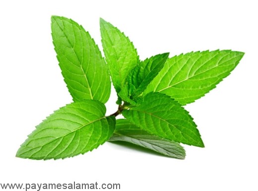 علل تهوع صبحگاهی در مردان