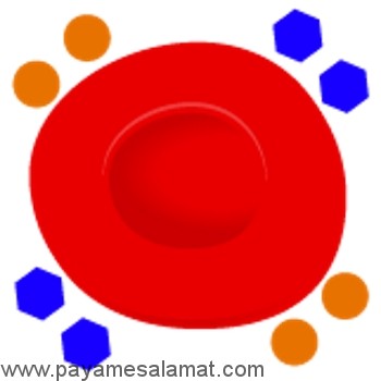نمودار انواع گروه خونی و همه آن چیزی که باید درباره آنها بدانند