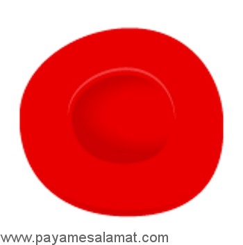 نمودار انواع گروه خونی و همه آن چیزی که باید درباره آنها بدانند