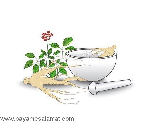 گیاهانی که سلامت بدن را بهبود می بخشند