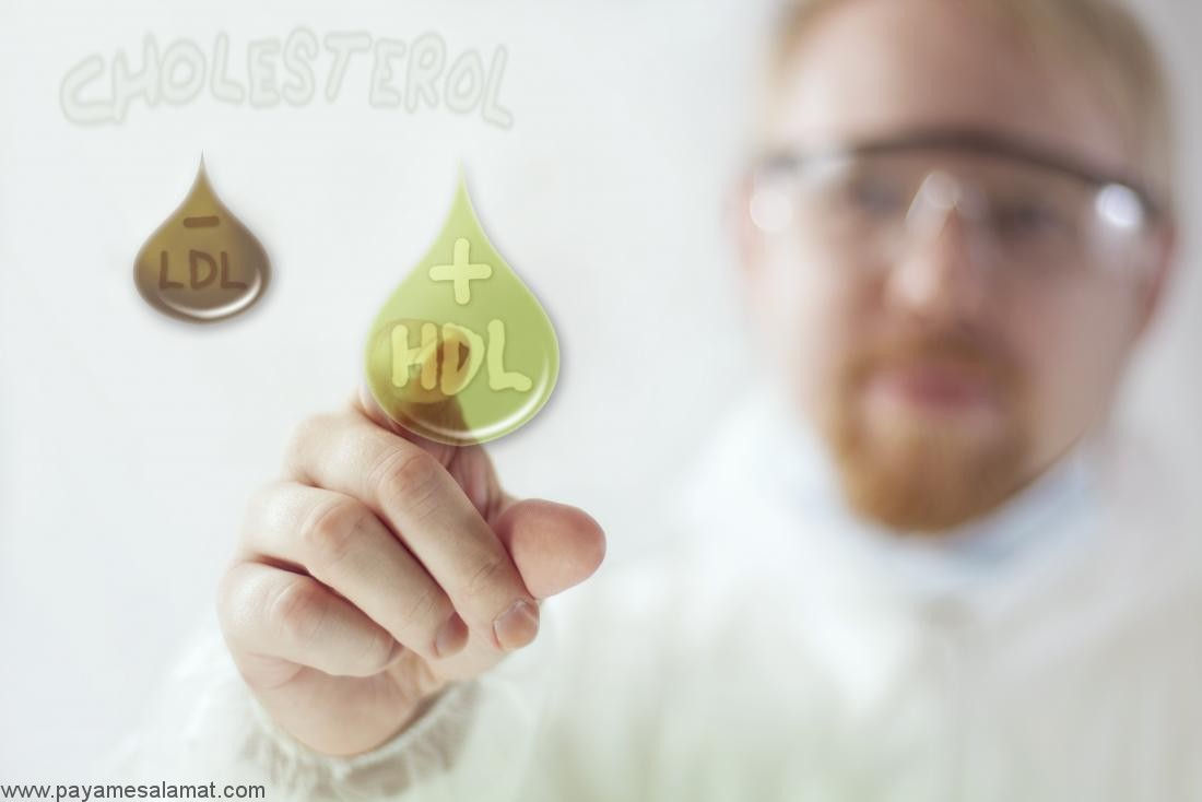 تفاوت کلسترول HDL و LDL
