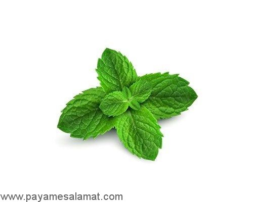 گیاهانی که سلامت بدن را بهبود می بخشند