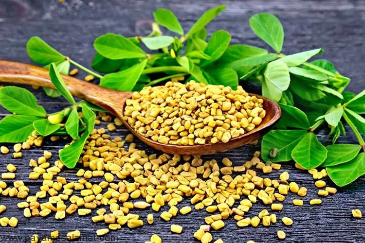 تاثیر آنتی اکسیدان بر روی پاکسازی بدن