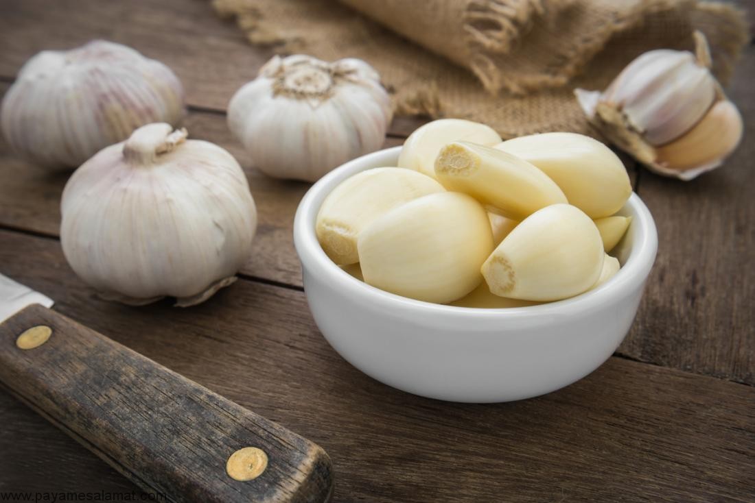 ادویه جات و گیاهان دارای خواص درمانی