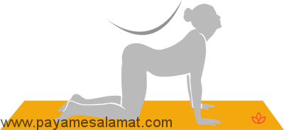 بهترین تمرینات یوگا برای درمان خستگی