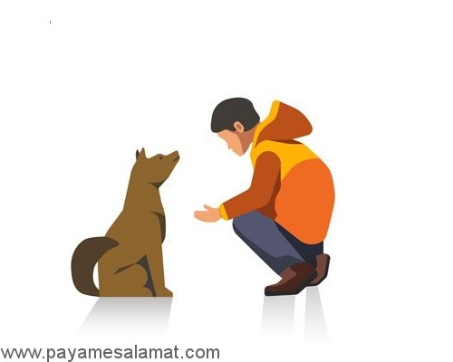 روش هایی که به کمک آن ها می توانید استرس در سگ ها را کمتر کنید