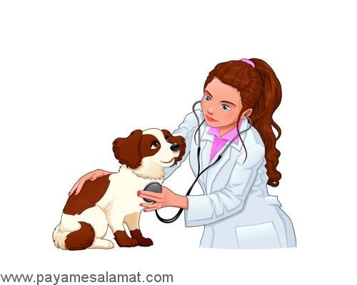 روش هایی که به کمک آن ها می توانید استرس در سگ ها را کمتر کنید