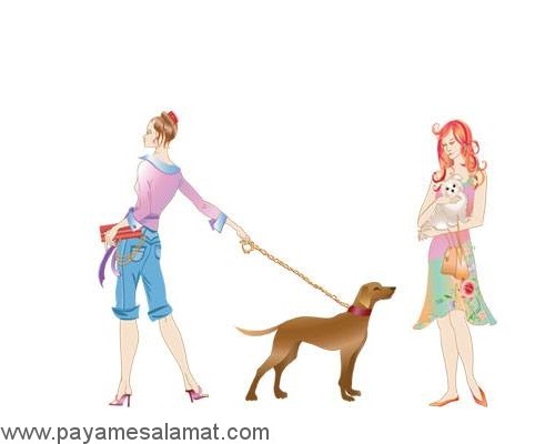 روش هایی که به کمک آن ها می توانید استرس در سگ ها را کمتر کنید