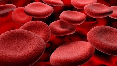 راهنمای کامل در مورد سطح هموگلوبین خون