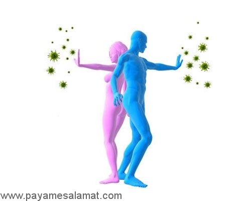 مزایای استفاده از مواد غذایی تخمیر شده و پروبیوتیک