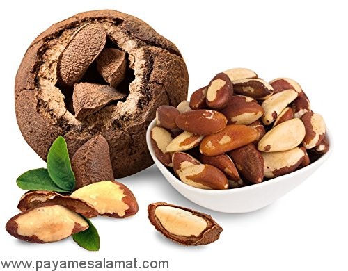 فندق برزیلی ؛ خواص ثابت شده، ارزش غذایی و میزان کالری