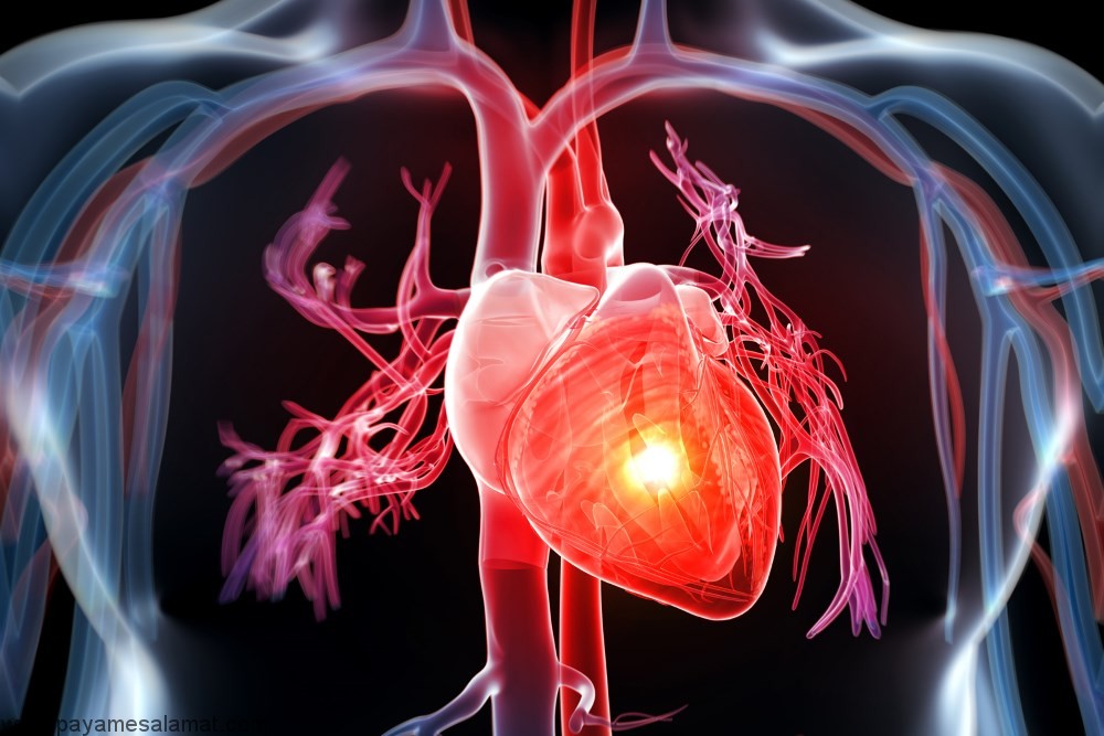 با عوامل خطر قابل کنترل بیماری های قلبی آشنا شوید