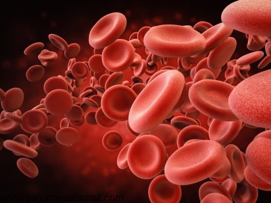 شایع ترین علل کم خونی فقر آهن در بدن