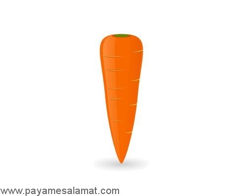 مواد غذایی ارزان و مفید برای کاهش وزن