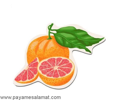 مواد غذایی ارزان و مفید برای کاهش وزن