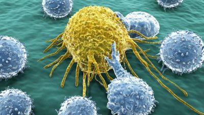 ۶ نکته مهم درباره ایمونوتراپی سرطان