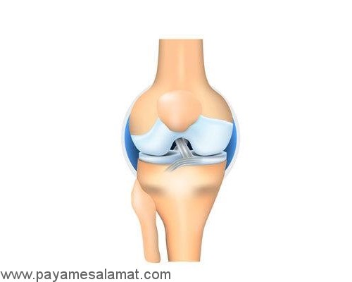 فواید ورزش کردن در آب