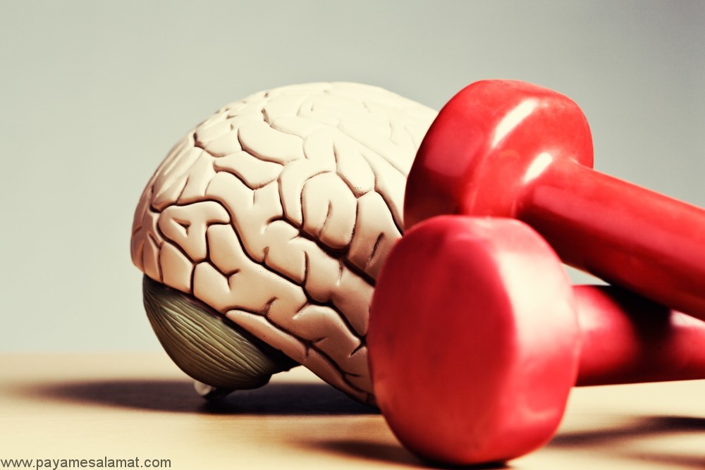 چرا بدن نیاز به ورزش مغز دارد ؟
