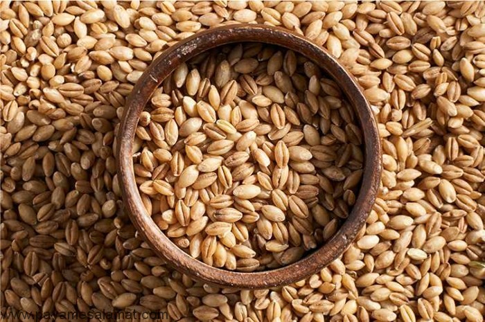 مواد غذایی کاهش دهنده کلسترول خون