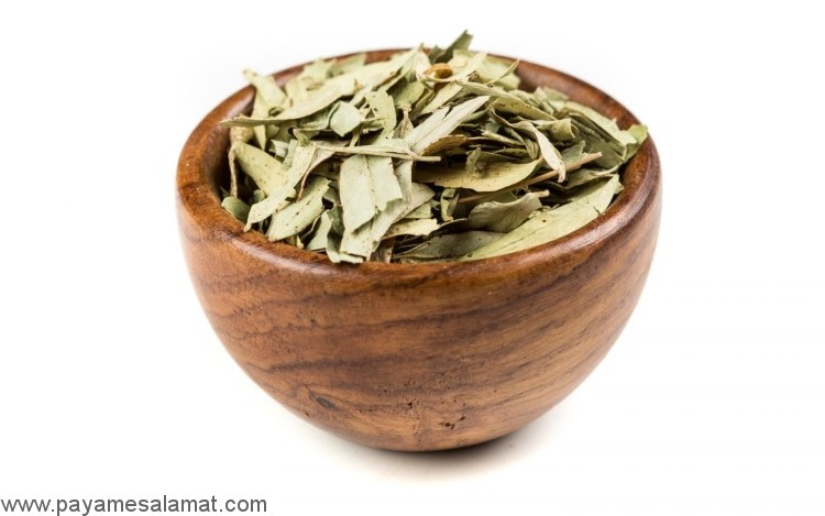 خواص چای سنا برای بدن