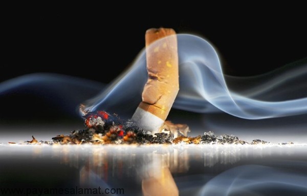 تاثیر سیگار کشیدن بر روی سیستم گوارش