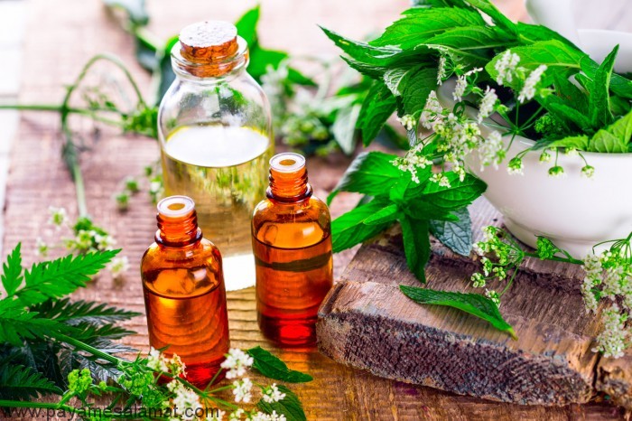 کاهش افسردگی و التهاب با اسانس نعناع هندی (روغن پچولی) و دیگر خواص این ماده
