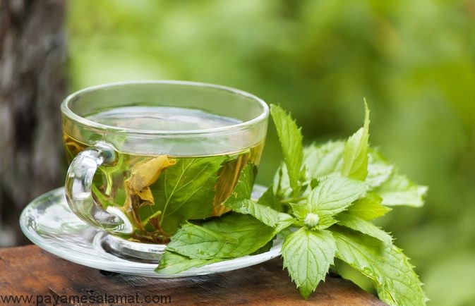 خواص چای نعناع