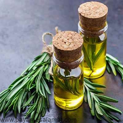 خواص روغن رزماری برای مو، پوست و ...
