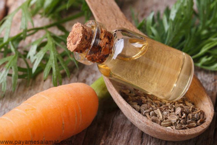 خواص روغن بذر هویج برای پوست و مو
