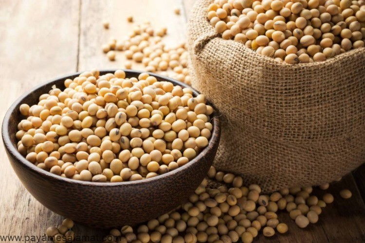 مواد غذایی که درد ایجاد می کنند
