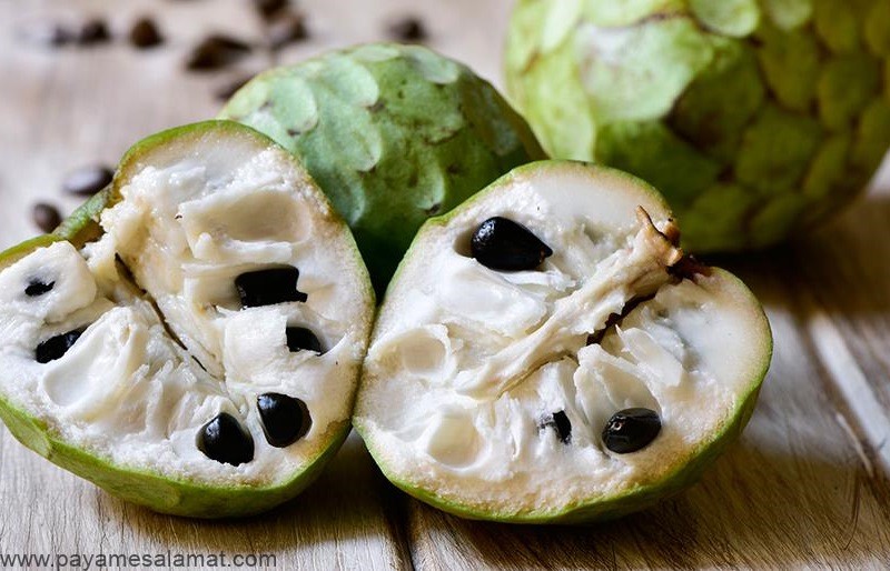 خواص میوه چری مویا