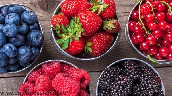 مواد غذایی مفید برای رشد مو