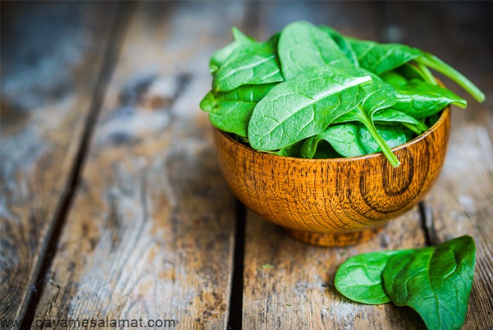خواص اسفناج برای بدن