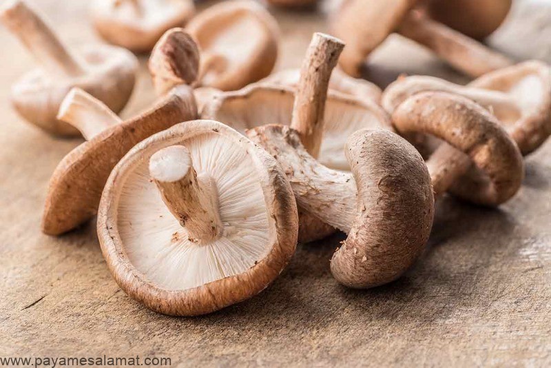 مواد غذایی سرشار از مس